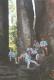 N�hodn� fotka z albumu